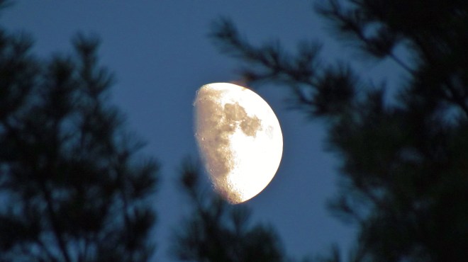 Goodnight Moon Now tell the sun to get lost! It's effin' HOT