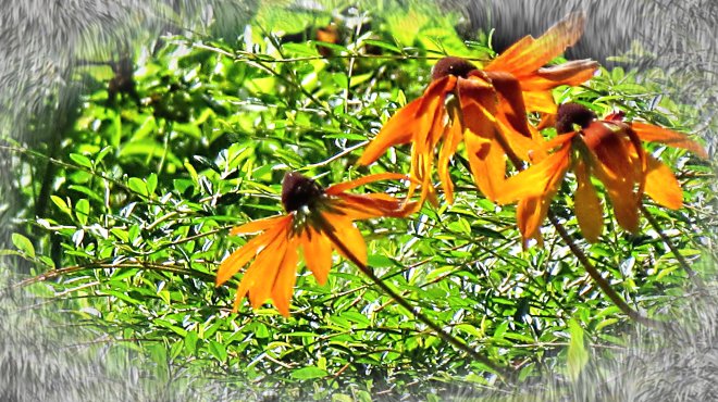 Was it me CC? Did I Kill you? Were you sick of the everyday? Were you hoping for something more DrAmaTiC? Damn it woman!