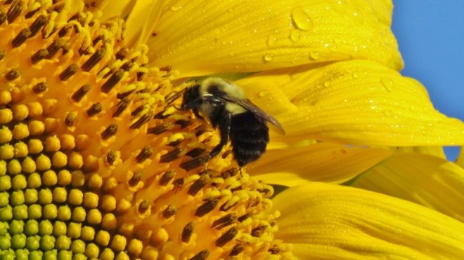 There I just needed a bigger size