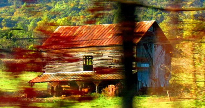 Barn on the Run