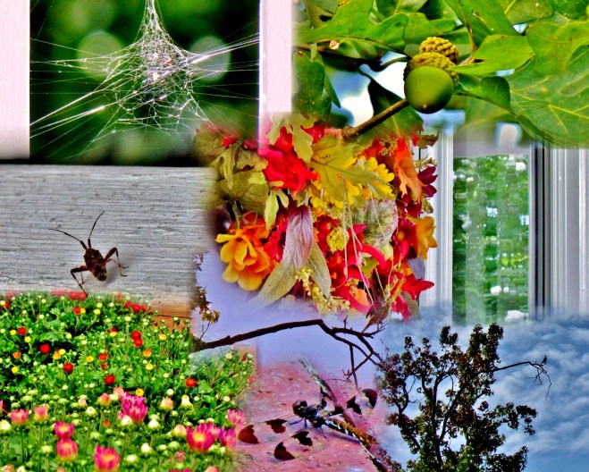 porch collage