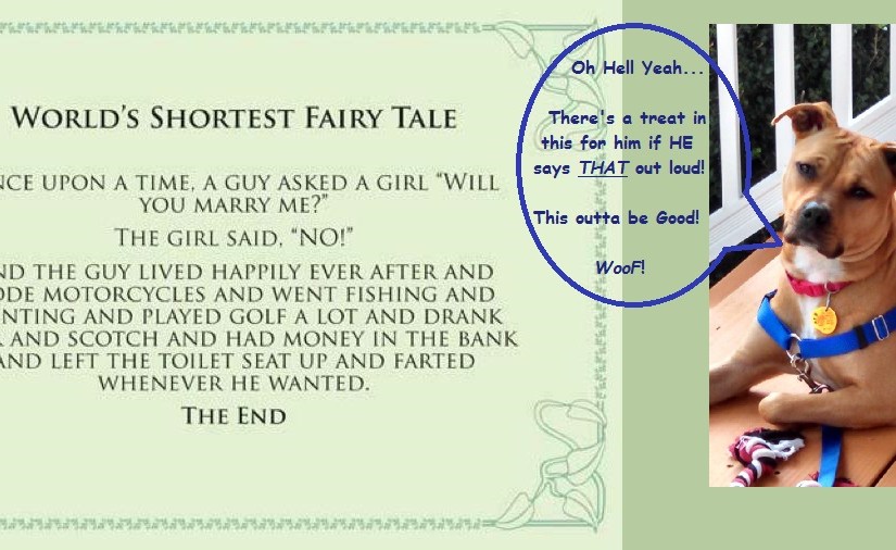 Troublemaker Tuesday