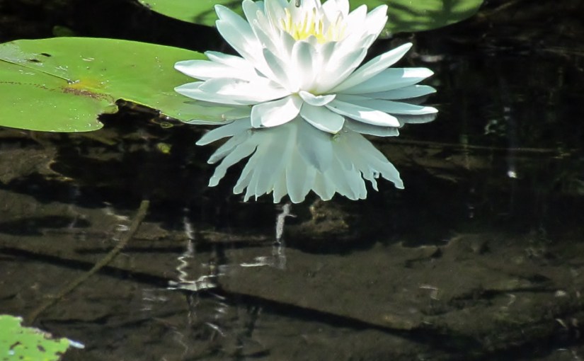 Brother can you spare some&nbsp;CHANGE?