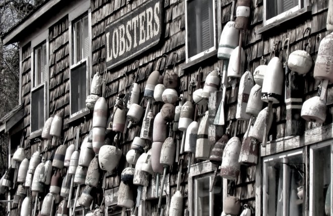 1015011_10201351364736971_927998728_o