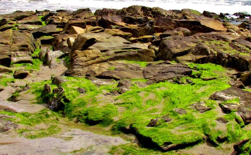 It was there all&nbsp;along…