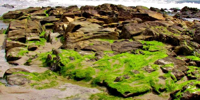 1015230_10201188597627895_1558047865_o (2)