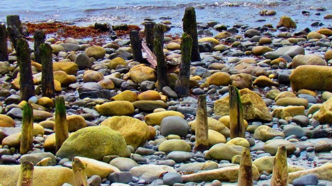 1040100_10201276390022650_1394358944_o