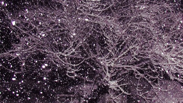 426775_3085336863263_911556598_n[1]