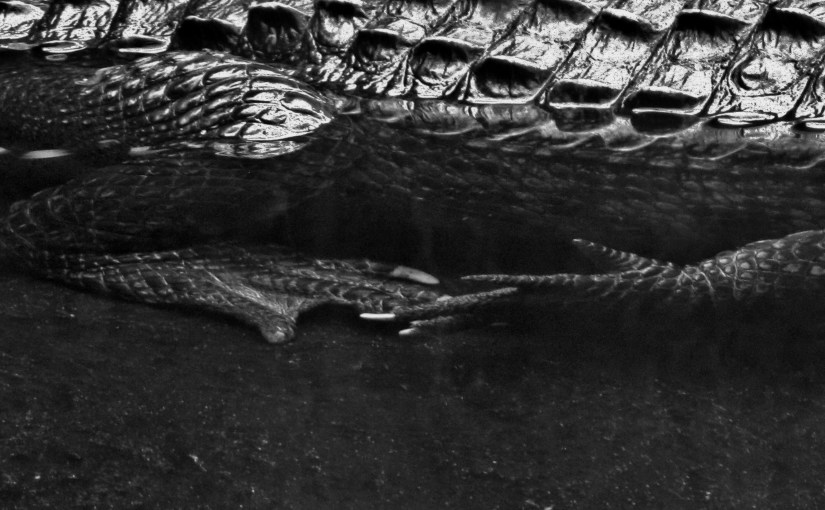 S L I T H E R I N&nbsp;‘