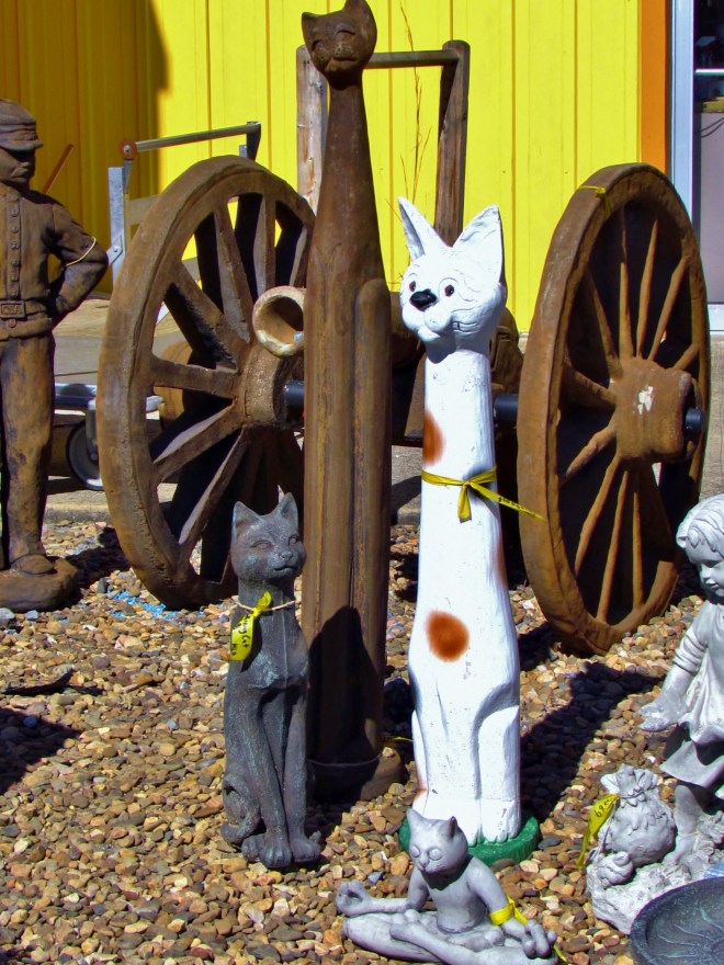 I'd like to see the Cat House where these cool cats hang out...then again?