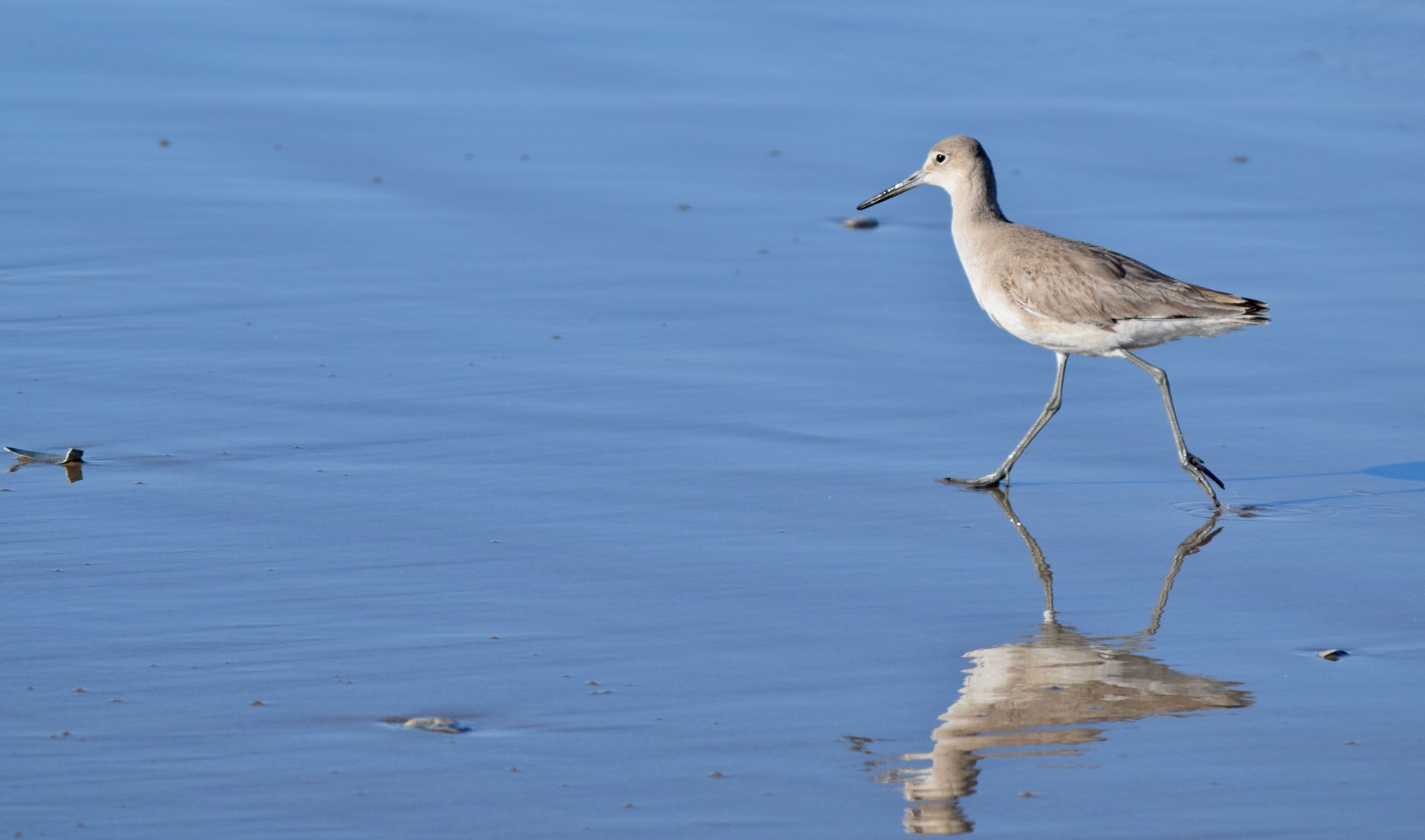 Peter Piper Pinpoints