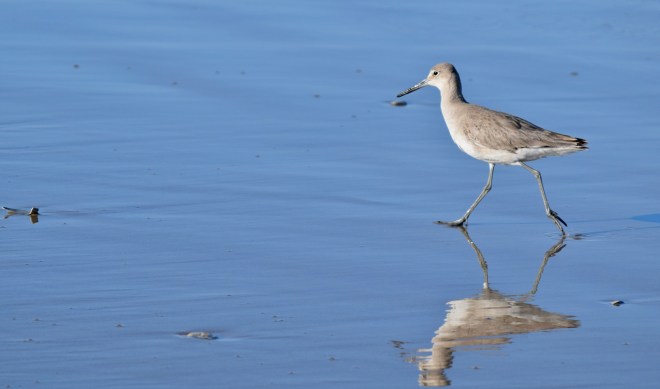 Peter Piper Pinpoints