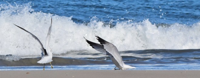 Karate Kid - Wax Off Kid!